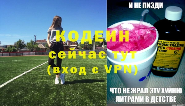 стаф Богородск