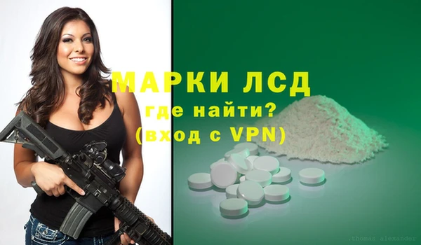 хмурый Белокуриха