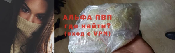 стаф Богородск