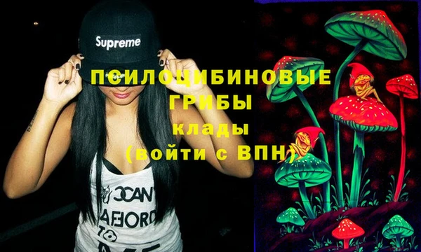 прущие крисы Богородицк